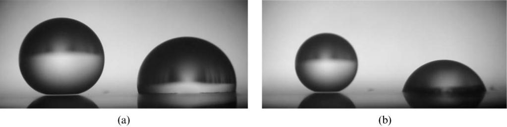 Fig. 3 Millimetric water drops (of the same volume) deposited on a superhydrophobic substrate consisting of dilute pillars (w s 5 0.01).