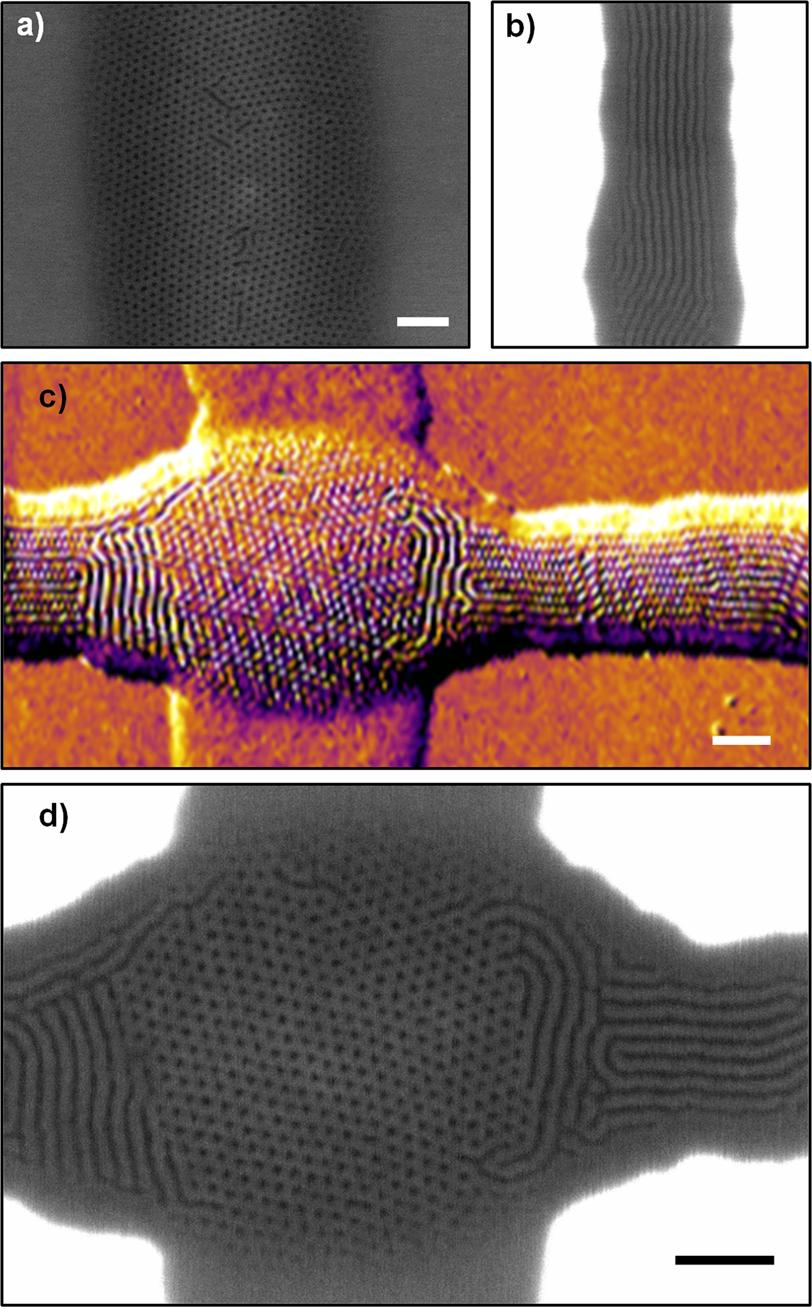 Figure 5. Spatial control over the morphology of nanoscale domains in BCPs formed on substrates that combine topographical patterns with printed brushes.