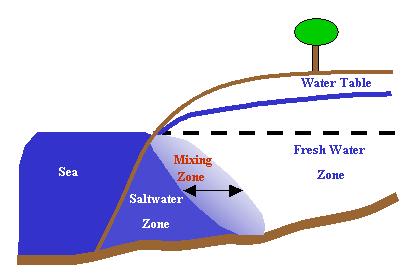 ), ρ s : the density of the saltwater water (gr cm -3 ). Figure 1.