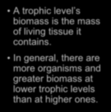Numbers and Biomass in