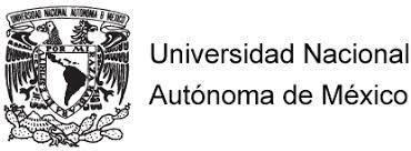 UNAM Team Prof.