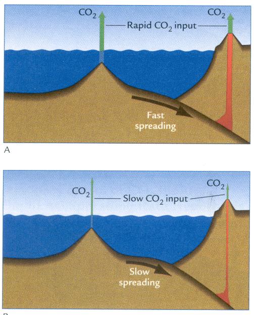 Tectonic Control of CO 2 Input The Seafloor Spreading Rate Hypothesis During active plate tectonic processes, carbon cycles constantly between Earth s interior and its surface.