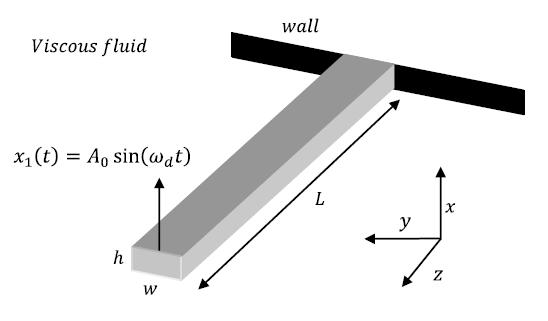 Analytical solution for an oscillating cantilever in fluid: Determining the fluid-coupled dynamics of an array of micro-scale cantilevers is challenging.