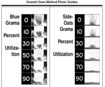 Height-Weight Method Uniform, accurate, and reliable utilization determinations for perennial grasses and grass-like Objective method; however, some estimation is required.