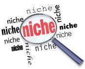 The term niche describes the role of an organism within the ecosystem.