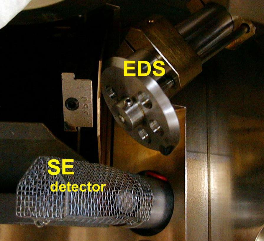 Secondary electron detector 25 Located