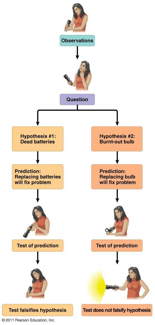 Hypotheses in Scientific Inquiry: A scientific hypothesis must have