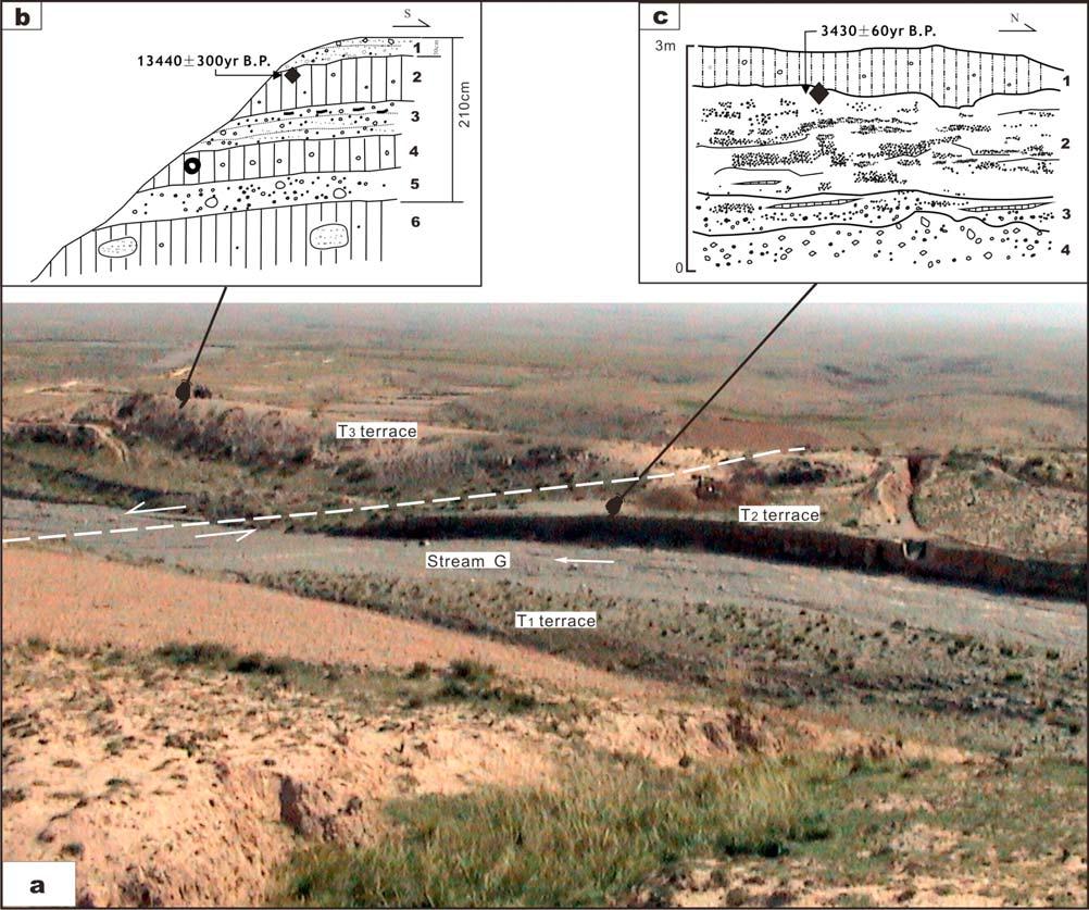 Figure 11. (a) Photo showing left-lateral offset of the stream G; view is to the southwest. (b) and (c) Cross sections of terraces T3 and T2, respectively, with sample locations shown.