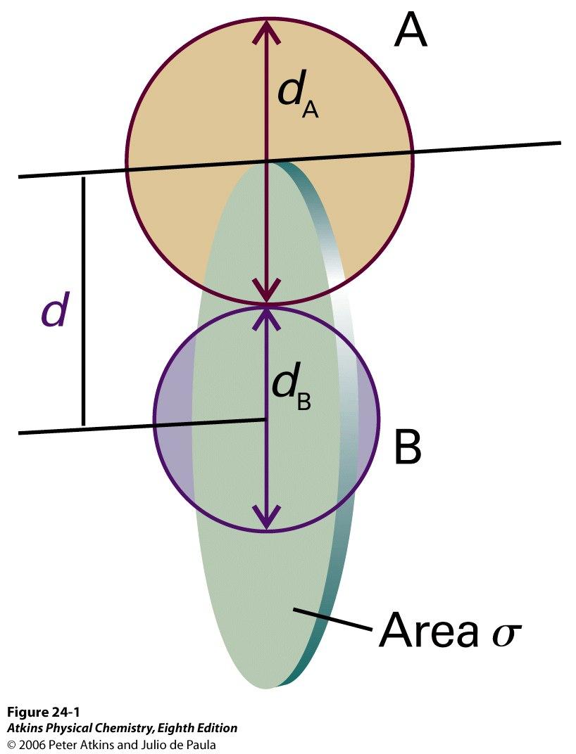 σ=πd 2 = collision "cross section" or target area d = 1 d 2 ( + d A B) c rel = average relative velocity = (8k B T/πµ) 1/2 µ = m A m B /(m A + m B ) = "reduced mass" f = symmetry factor: = 1 if A B =