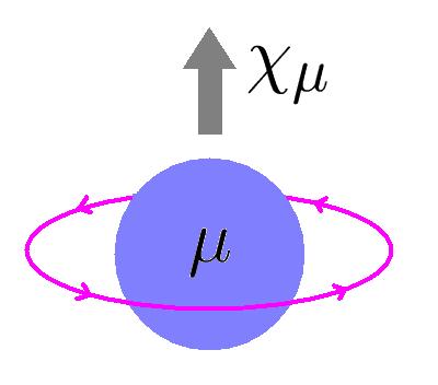 v Magnetic Moment of the Muon Electromagnetic, Strong and Weak forces at ` 10