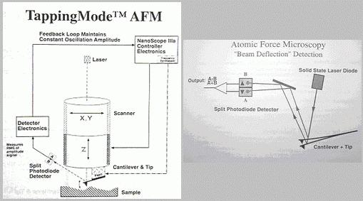 Figure 4-3 AFM diagrams: These two diagrams are from the Digital Instruments manual for the AFM.