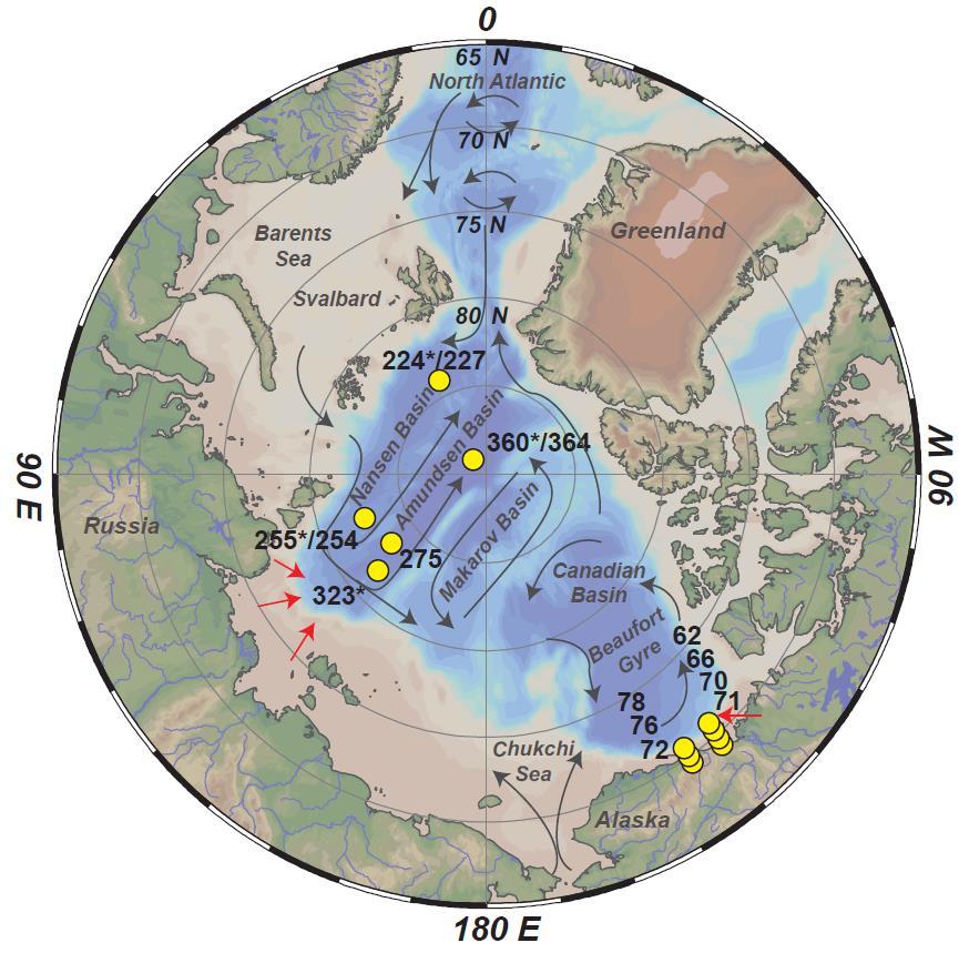 Figure 1. Map of stations occupied for this study. Sea-ice and melt-ponds were sampled at stations denoted *.