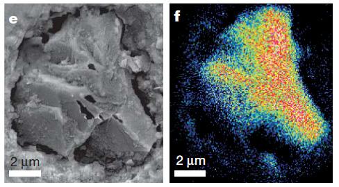 Observation of diamond A relatively large exposed diamond aggregate (e)