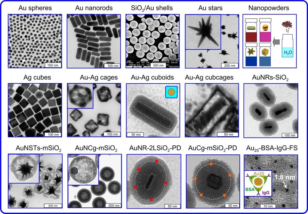 IBPPM gallery of plasmonic nanoparticles, hybrid