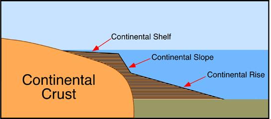 part). Here the continent and ocean floor belong to different lithospheric plates.