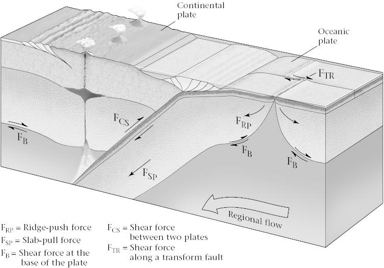1. Slab Pull: Subducting slab pulls lithosphere along Issue: No Atlantic