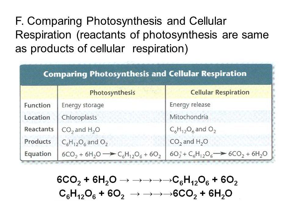 Photosynthesis The way plants makes its food is a very important kind of natural chemical reaction. It takes in carbon dioxide from the air and turns them into carbohydrates the food for the plant.