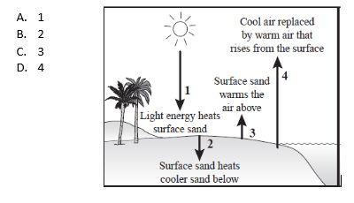 D. Convection currents of rising, less-dense warm air and falling, denser cool air caused by differences in how quickly water and land absorb or lose