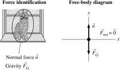 Force and Motion 5-9 5.4. Visualize: Assess: The cat is stationary, so there is no frictional force. 5.5. Visualize: Assess: The problem says that there is no friction and it tells you nothing about any drag; so we do not include either of these forces.