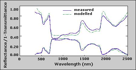 Absorption of the dissolved pigment solution was measured using a spectrophotometer and normalized for solvent volume and leaf area.
