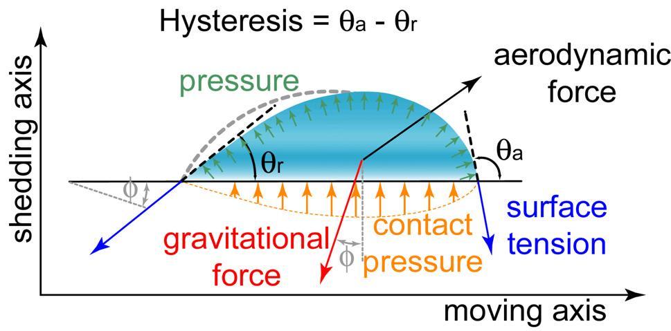 Figure 1-10 Forces on a drop in the static condition (Fortin, 2004) Figure 1-11 Deformed bead due to aerodynamic forces in icing problem (Fortin, 2004) As said, the wettability or degree of wetting