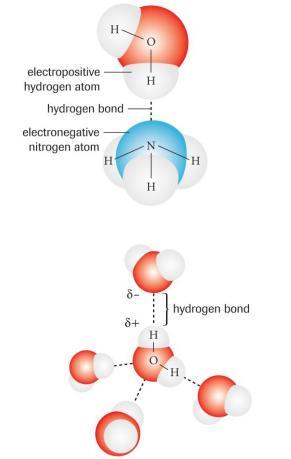 Intermolecular Forces If a molecule is polar, or if it is particularly large, forces between different molecules play an important role in their behaviour.