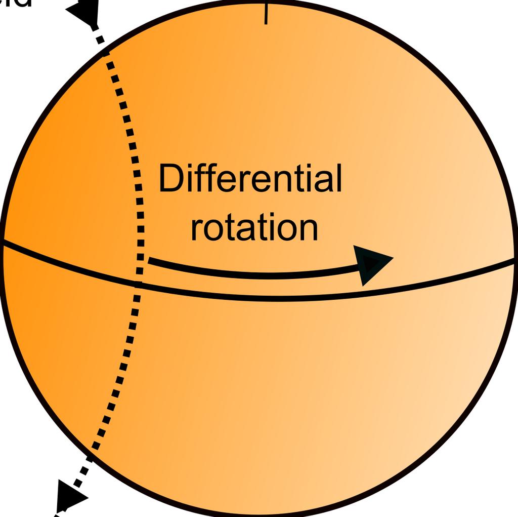 2.4 Ω-effect (Poloidal to Toroidal) The physical mechanism of the Ω-effect is explained in this section. As explained in the preceding section, the third term of the right side of eq. (1.2.15), r sin θb p Ω denotes the Ω-effect.