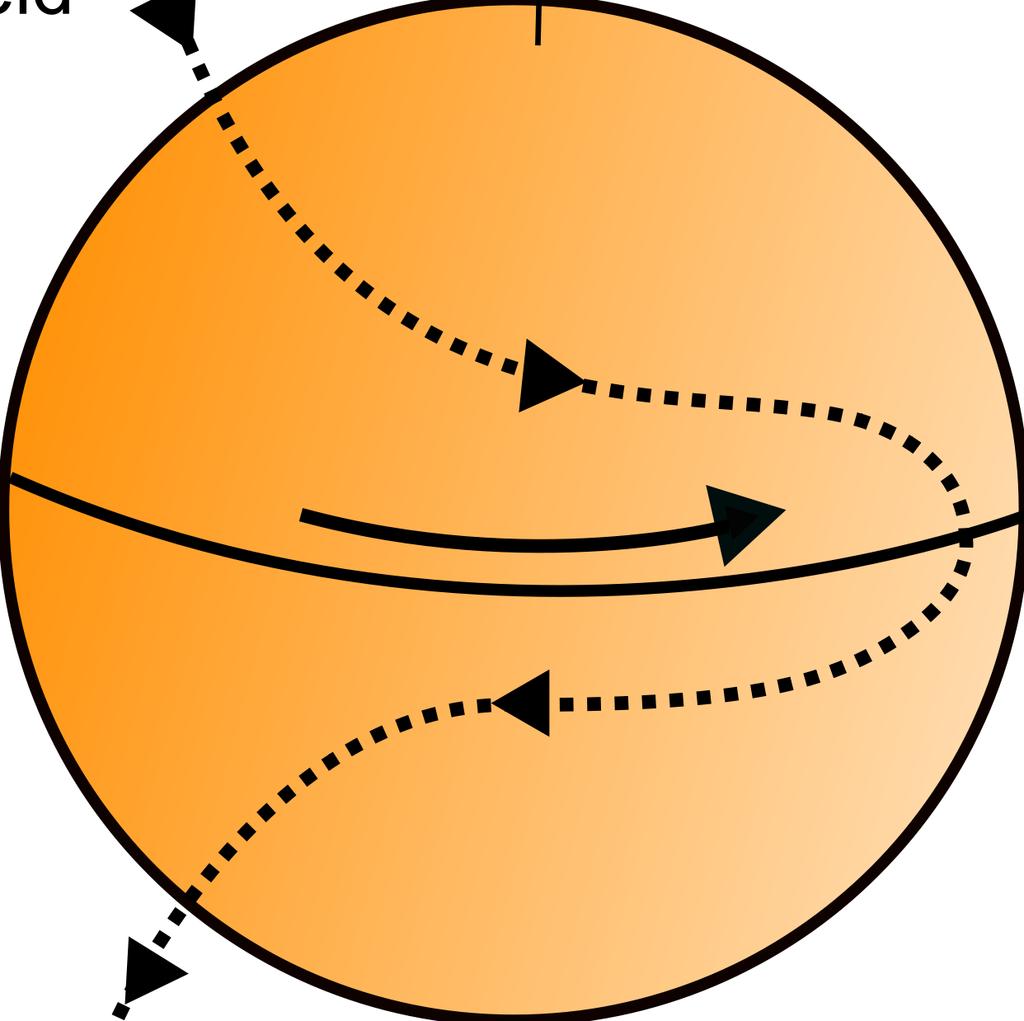 The poloidal field is stretched by the differential rotation on the surface. surface, the period of rotation is about 25 days in equator and about 30 days in the pole (Howard & Harvey, 1970).