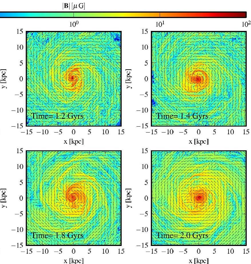 MHD-MRI model of spiral galaxies (2) Magnetic fields are dynamically important (β 1) Many