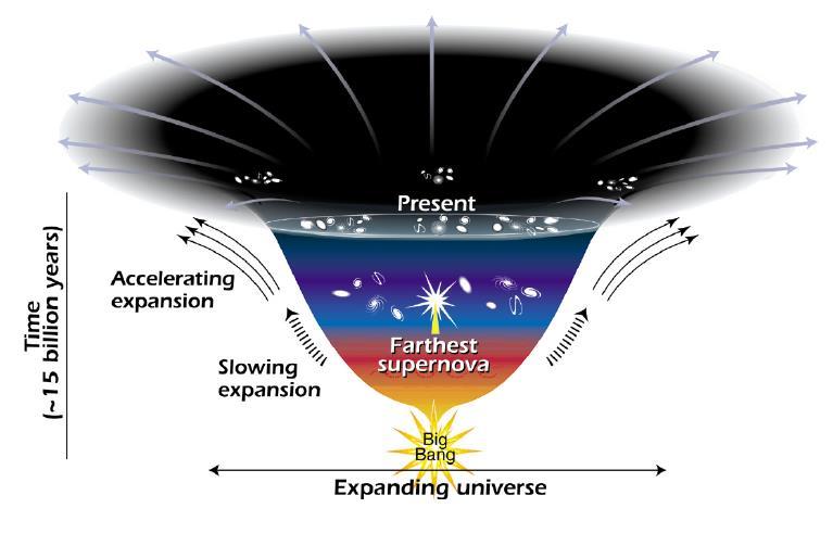 Light scalar fields Whatever is causing the acceleration of the expansion of the universe today must