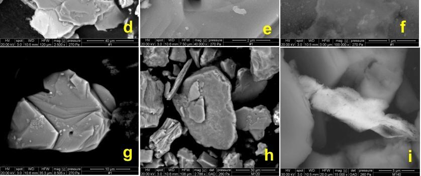 sediment of different depths: (a) layered mica (b) calcite (c) Fe-oxide on Al-silicate (d) weathered pyrite (e) Ferric-oxide (f)