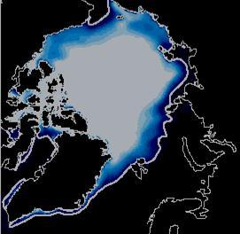 (1) Arctic Sea Ice