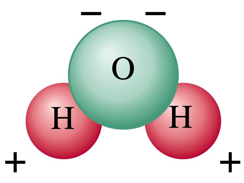 Electric Charge in the Atom It has been understood through the past century that an atom consists of A positively charged heavy core ç What is the name?