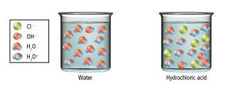 How do acids and bases interact with water?