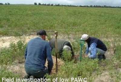 Plant Available Water Capacity (PAWC) Indicators Spatial