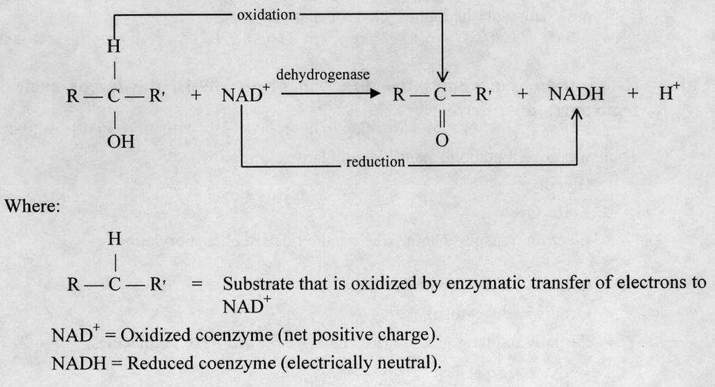 The fall of electrons during respiration is stepwise via NAD + and an Electron Transport Chain (ETC).