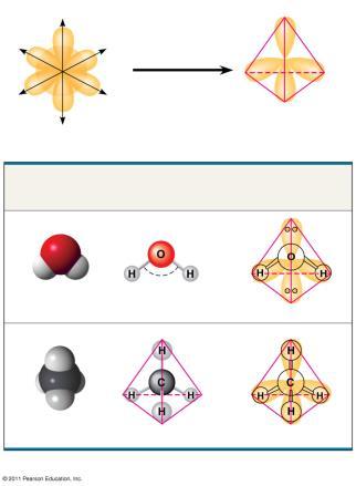 covalent bonds and electron pairs around CARBN, XYGEN, NITRGEN and many other atoms is a tetrahedron Space-Filling Model Water ( ) Ball-and-Stick ybrid-rbital Model Model (with