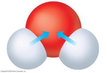 Water is a Polar Molecule Covalent bonds between & are polar.