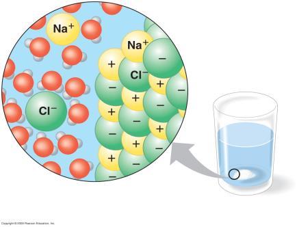 Water is a Good Solvent Due to interactions between opposing charges in water and other polar or charged molecules non-polar (hydrophobic) molecules do not