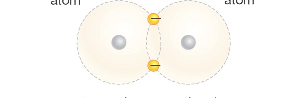 bonds share electrons. Nonpolar covalent bonds share electrons equally.