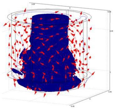 CORROBORATION OF EXPERIMENTAL OBSERVATION WITH MODELING Figure 2: Left: Reactor geometry & Right: Reactor with streamline flows, 3D Arrows & isosurface plot The above figure shows