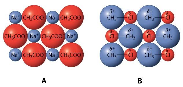 Attractive forces between molecules govern the physical properties of alkanes.