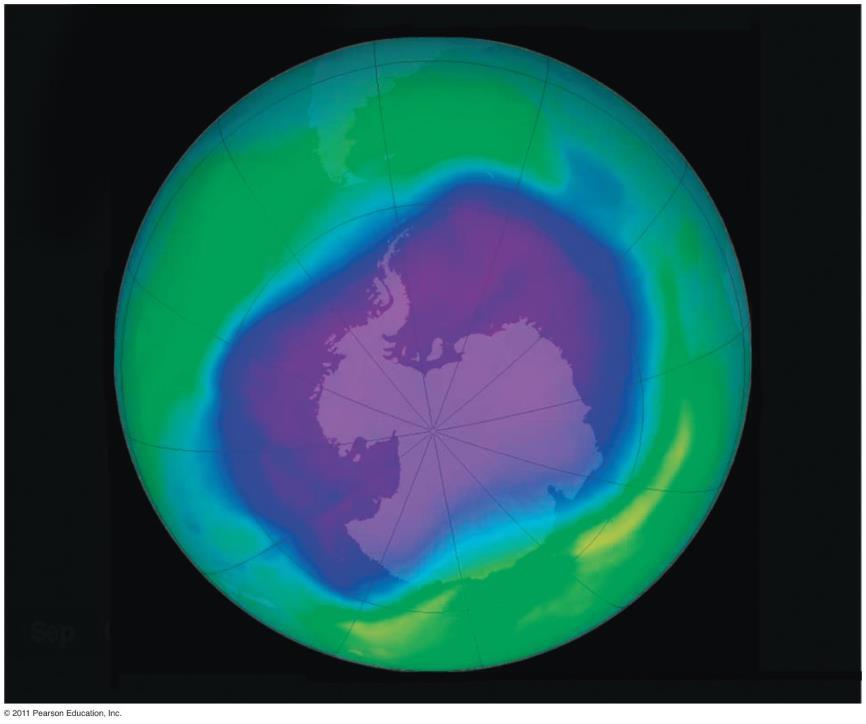 The Antarctic ozone hole High-altitude polar stratospheric clouds form during the dark, frigid winter Nitric acid in clouds splits chlorine off of CFCs A polar vortex (swirling winds) traps chlorine