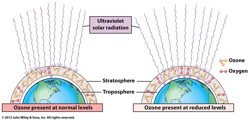 Ozone Depletion in Stratosphere Ozone Protects earth from