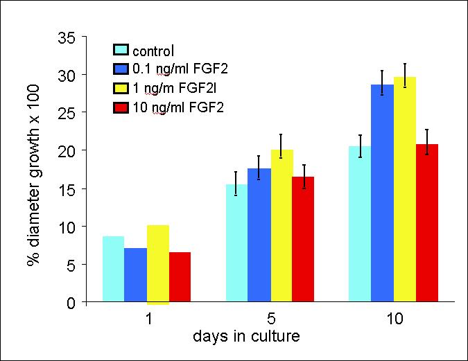 FGF2 concentration, however, promotes the formation of cartilage nodules, which are easily identifiable in 10 day old cultures (Fig. 2A).