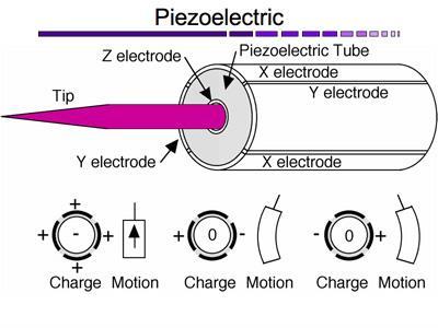 Fine Approach: Piezoelectric Scanner Piezoelectric material is a smart material that changes in dimension under an