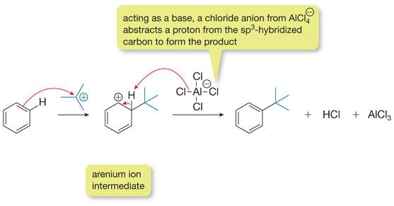 Friedel Crafts alkylation mechanism: