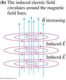 field induced an electric field
