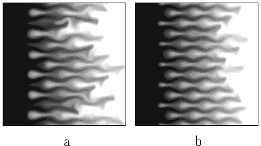 A. De Witt and G. M. Homsy: Viscous fingering in porous media. II 9627 FIG. 14. Viscously unstable fronts (R 3) in checkerboard systems with Pe 1024, A 2, 1, and n y 6 shown at a time t 550. a n x 8.