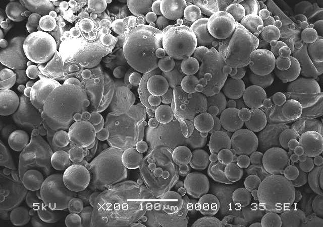 microparticles prepared by